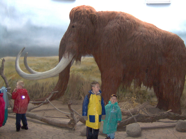 mamut.jpg